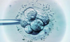 泰州借卵试管收费标准-移植前子宫内膜降幅小于5毫米是提高移植成功率的一个