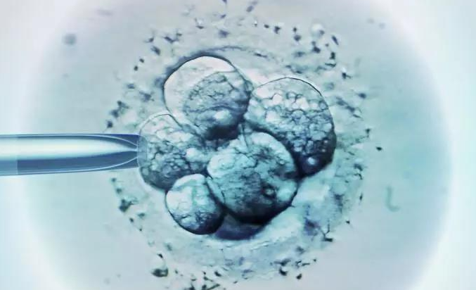 泰州借卵试管收费标准-移植前子宫内膜降幅小于5毫米是提高移植成功率的一个强制性标准。